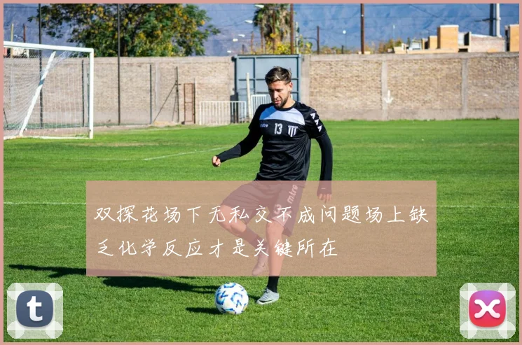 双探花场下无私交不成问题场上缺乏化学反应才是关键所在